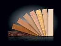 Виды паркета: преимущества и недостатки